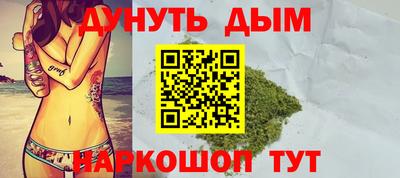 СК Обь